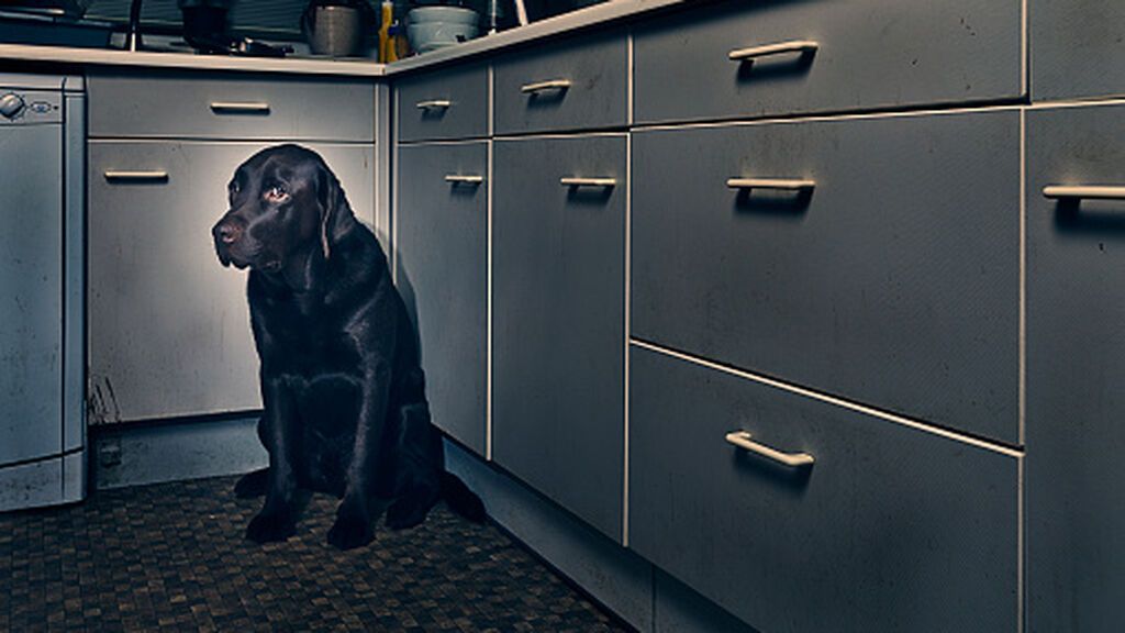 gettyimages-523601308-170667a