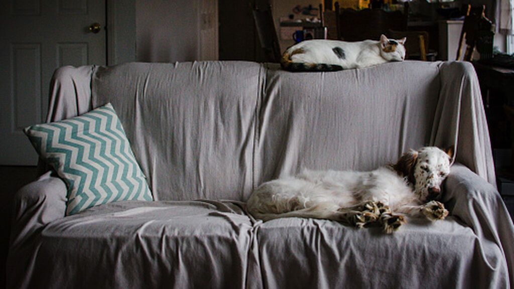 gettyimages-1313427357-170667a