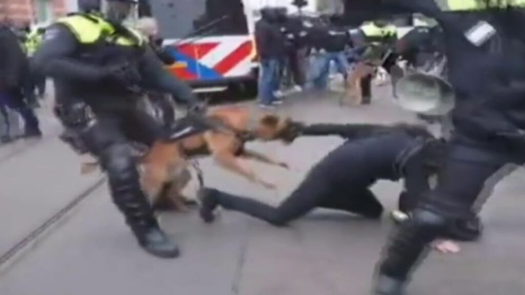 El brutal ataque de un perro policía a un manifestante negacionista en Ámsterdam