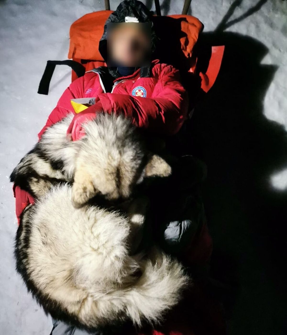 Un perro mantiene con vida a un montañista en riesgo de congelación durante 13 horas