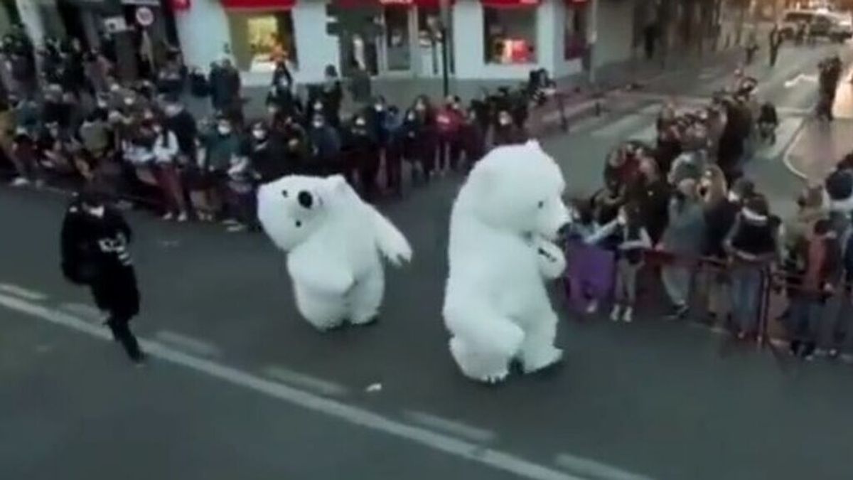 Las redes sociales se llenan de risas y memes por el 'oso perjudicado' de la Cabalgata de Reyes de Cádiz