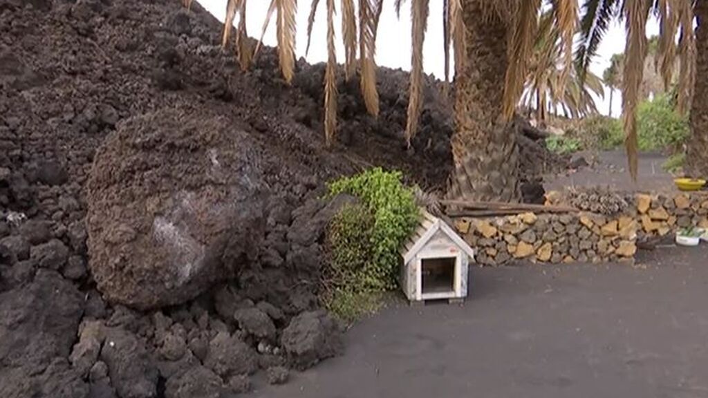 El regreso de los afectados por el volcán de La Palma a sus casas está siendo muy duro psicológicamente