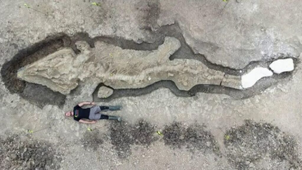 Hallan el fósil de un ictiosaurio, un dragón marino gigante, de hace 180 millones de años