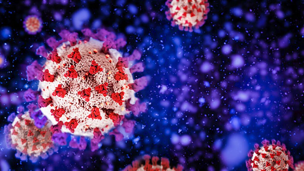 ¿Cuánto dura la inmunidad tras superar la infección por ómicron?