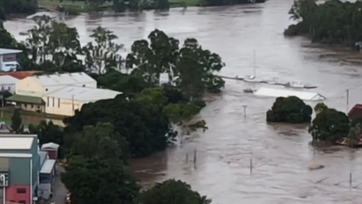 Padre e hija sobreviven a una inundación tras aferrarse a un árbol al más puro estilo del filme 'Lo imposible'