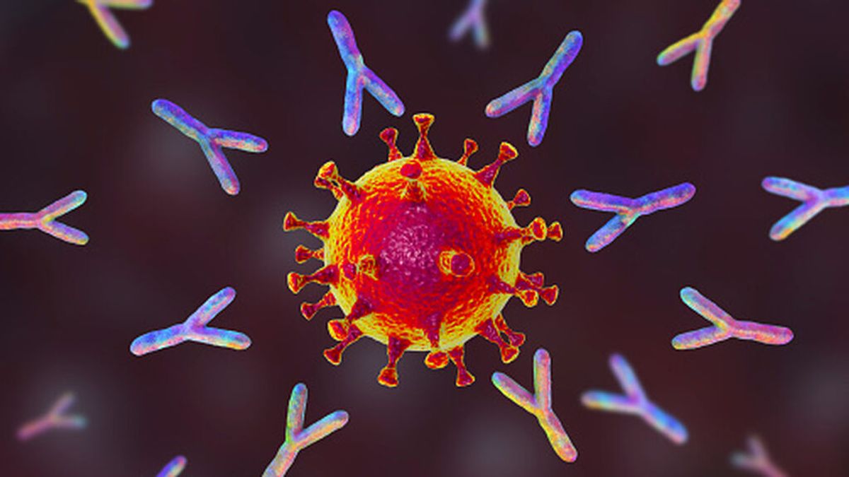 ¿Qué es la inmunidad innata y en qué se diferencia de la adquirida?