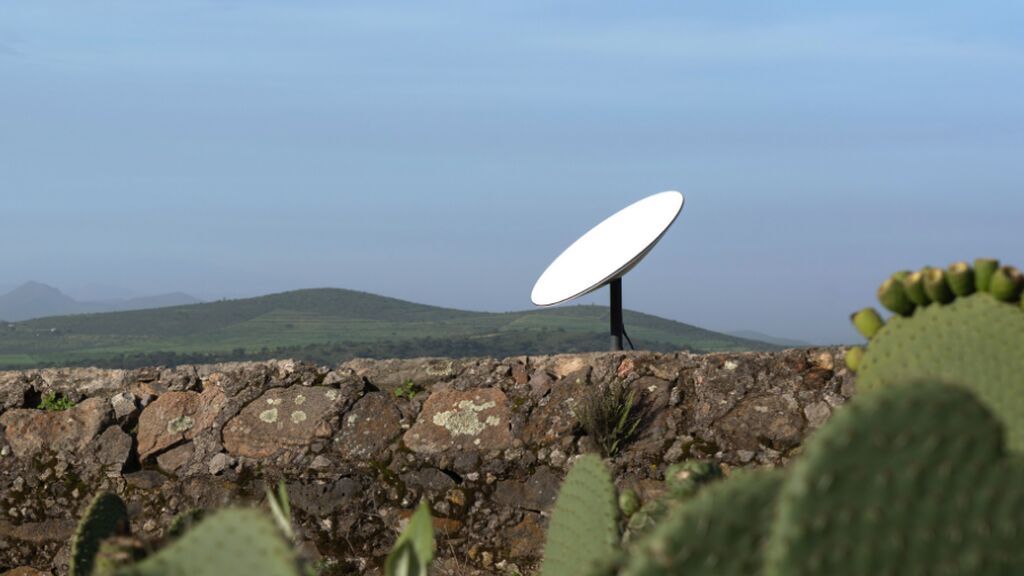 ¿Por qué los gatos se han convertido en el principal enemigo de Elon Musk y sus antenas de Internet?