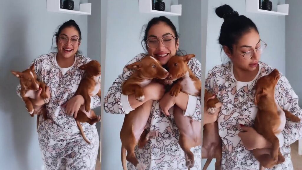 dakota-novio-amplia-familia