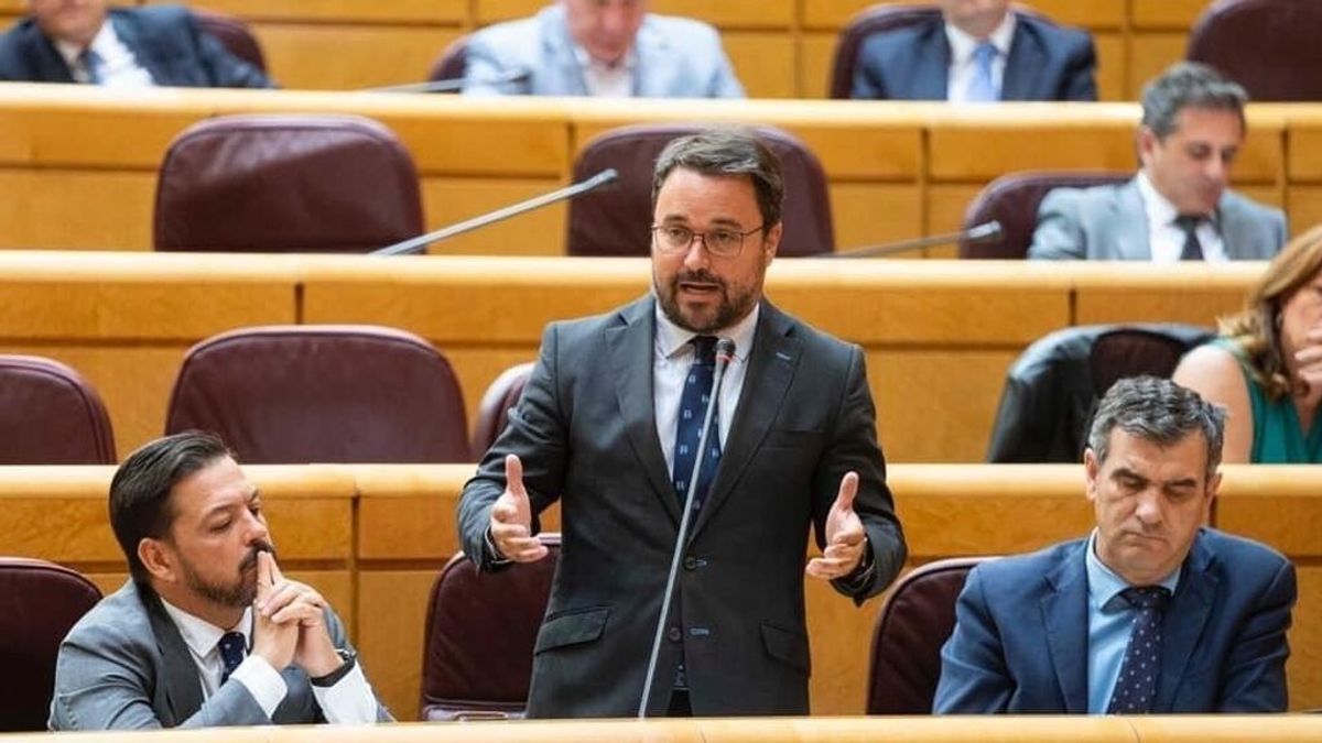 Antona (PP) ve a Garzón como un "pollaboba" y un "metepatas permanente" Antona (PP) ve a Garzón como un "pollaboba" y un "metepatas permanente"