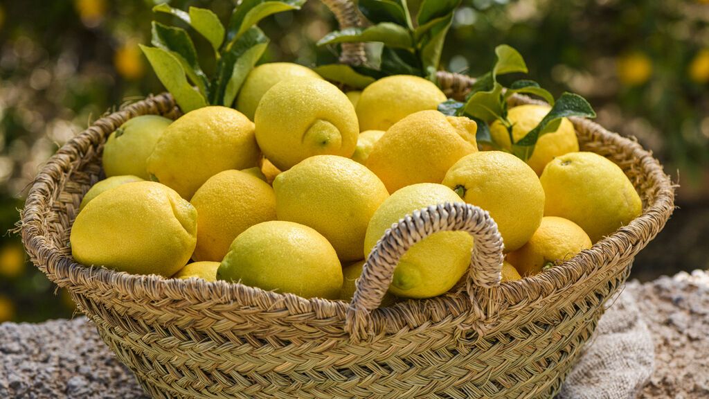 Ventajas de apostar por alimentos de proximidad o de km 0, como el limón de Europa