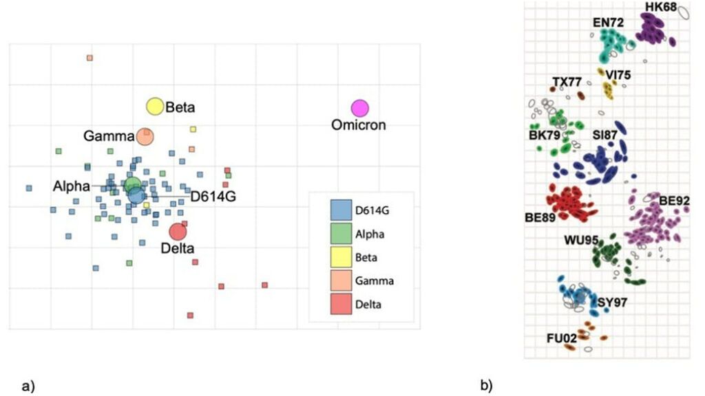 Variación antagónica