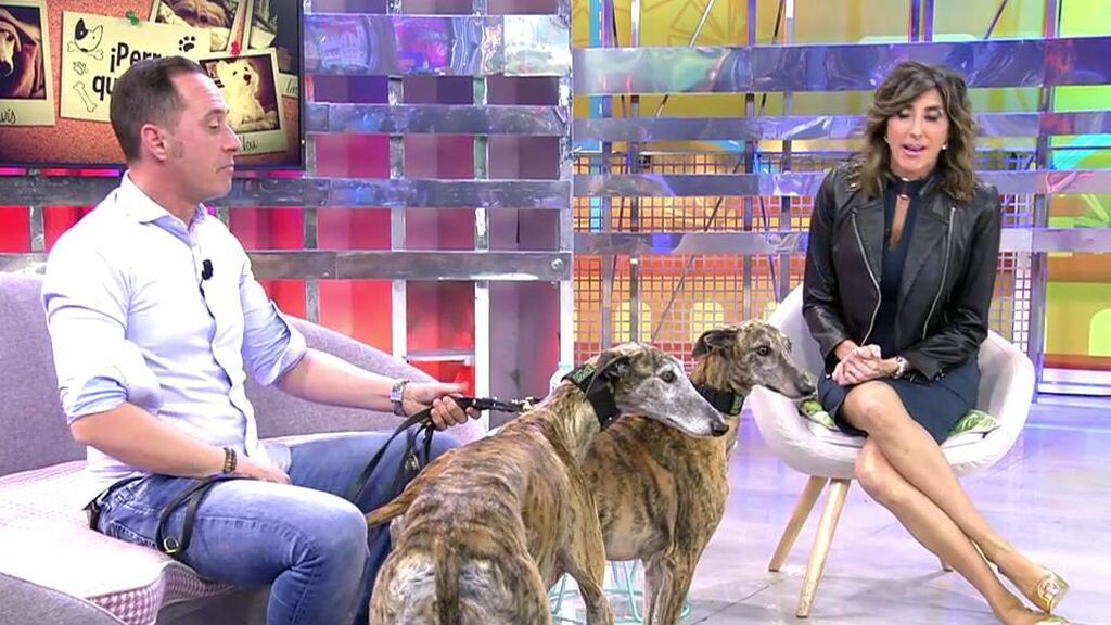 Carmela y Manuela necesitan un nuevo hogar