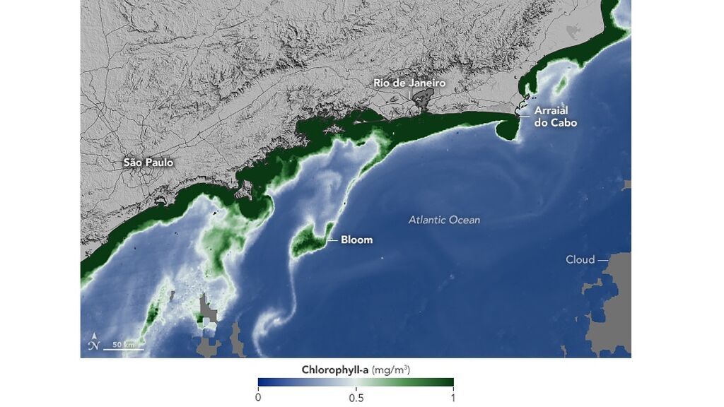 brazilchla_amo_2021360