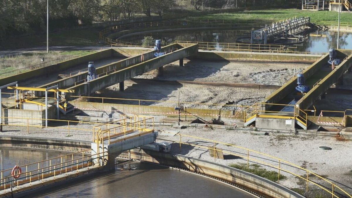 Ómicron desplaza casi por completo a la Delta en las aguas residuales Ómicron desplaza casi por completo a la Delta en las aguas residuales