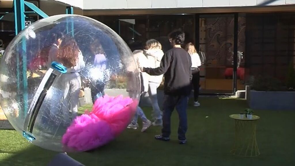 Aparece una bola gigante en el jardín