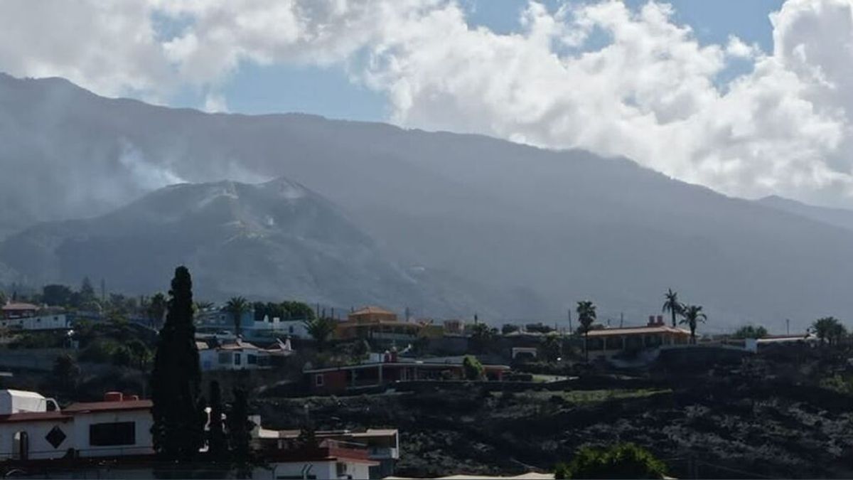 Encuentran cernícalos y palomas que murieron por los gases del volcán de La Palma
