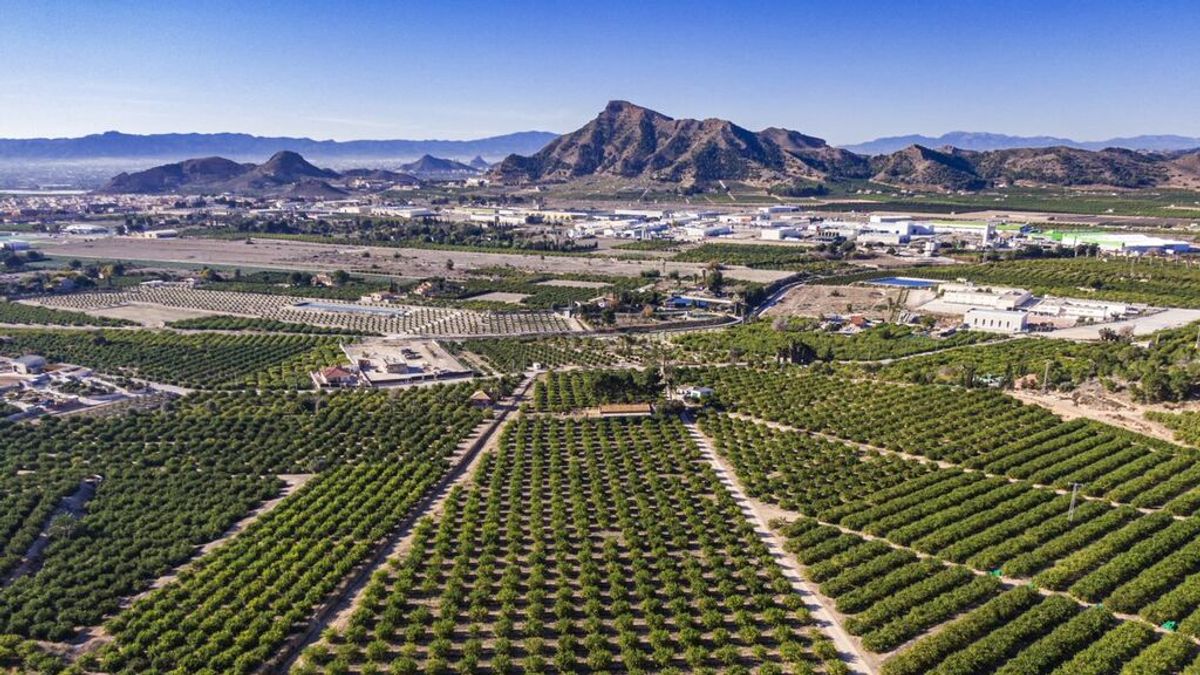 El limón de Europa se postula como un gran aliado para luchar contra el cambio climático