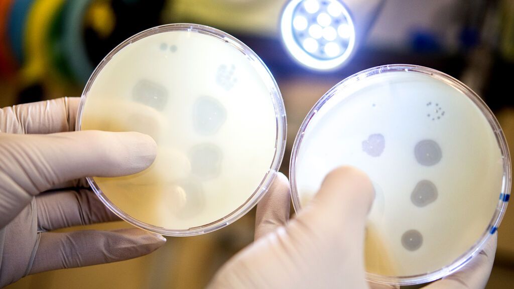 220120 soc fago atacnado