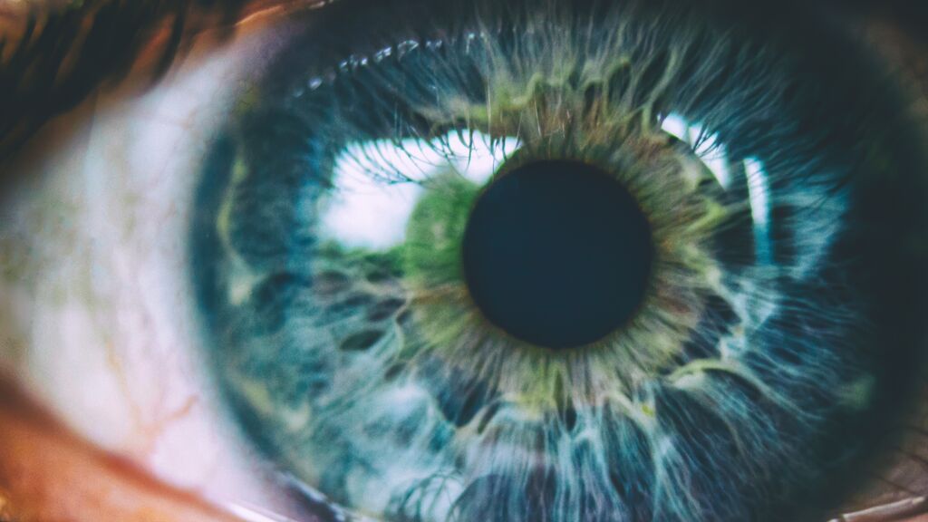 La retina podría revelar el riesgo de muerte prematura, según un estudio