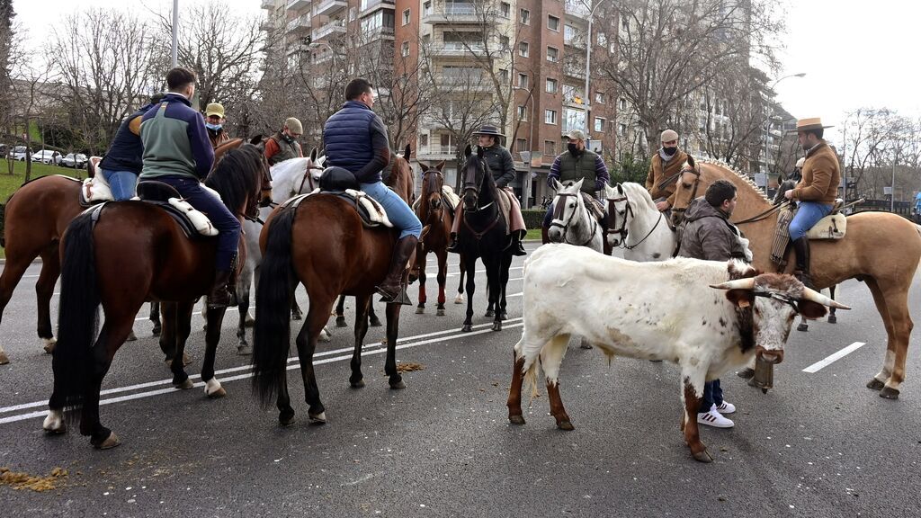 Miles de personas defienden en las calles de Madrid el mundo rural y piden mejoras