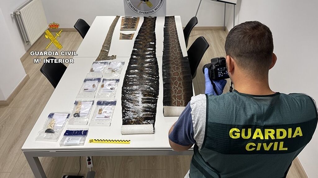 Operación del SEPRONA en País Vasco