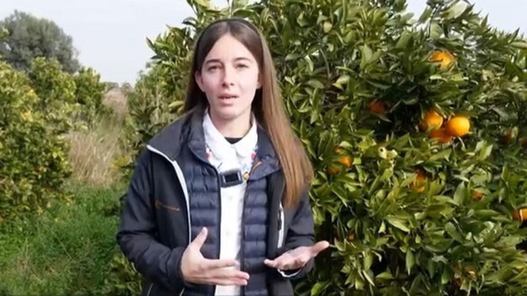 Sarah, la ganadera ecológica que recogió el testigo de su padre: "Quien quiera naranjas que nos escriba, no sale rentable cogerlas"