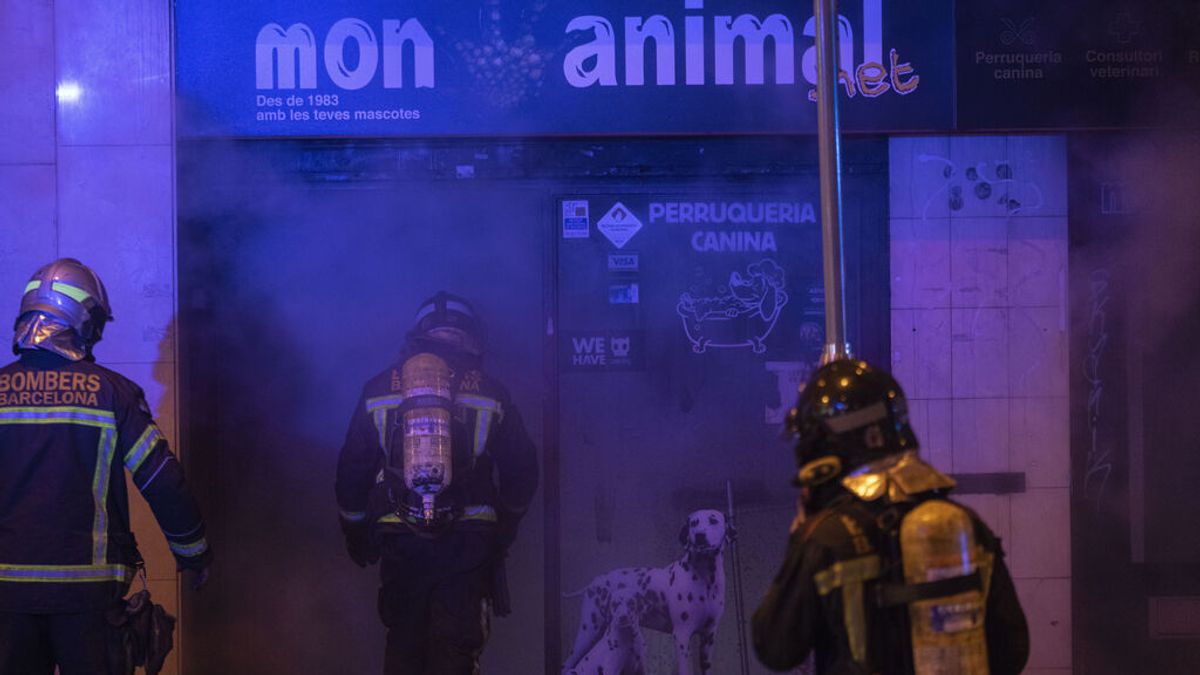Decenas de animales mueren en el incendio de una tienda mascotas en Barcelona