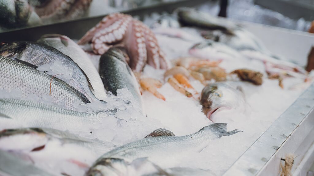 pescado