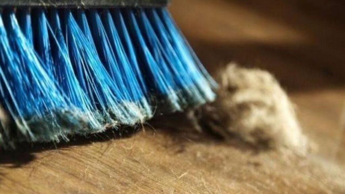 Estas son las claves para limpiar bien la escoba de barrer sin que queden pelusas: así podrás eliminar rápidamente la suciedad.