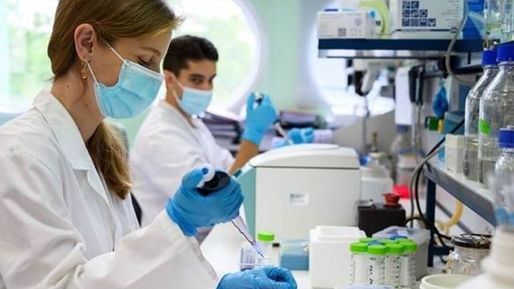 Científicos españoles descubren un marcador para detectar el cáncer de páncreas con un análisis de sangre