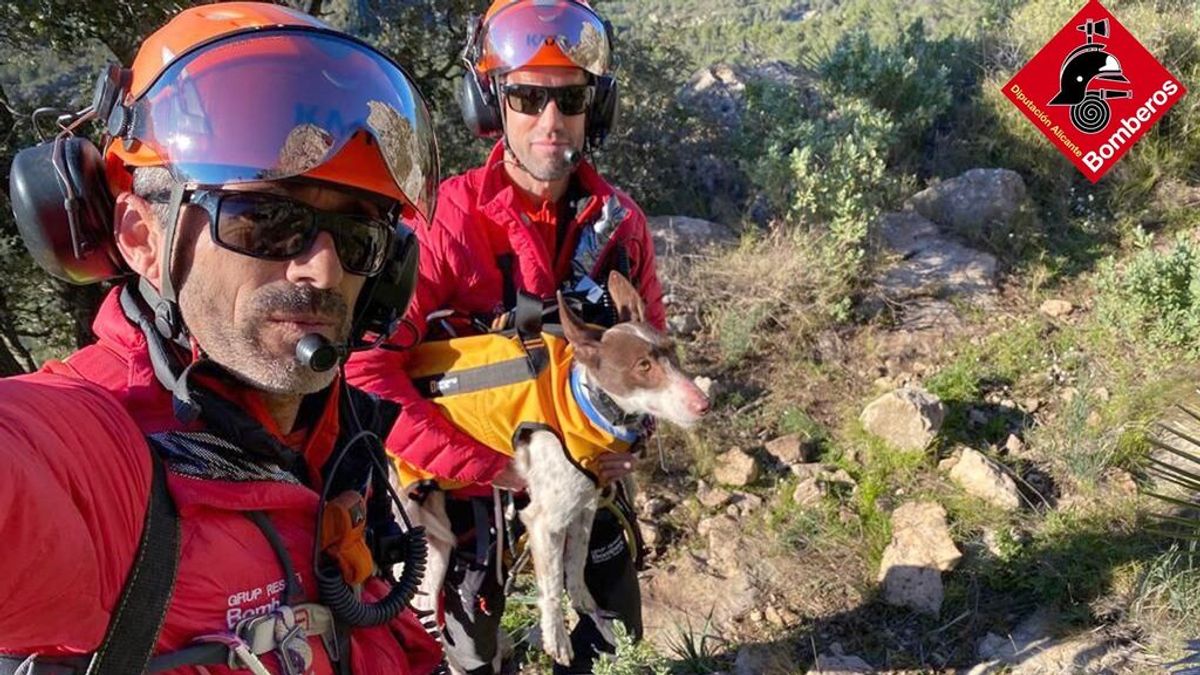 Los bomberos rescatan a un perro en helicóptero que quedó atrapado entre riscos en Tárbena