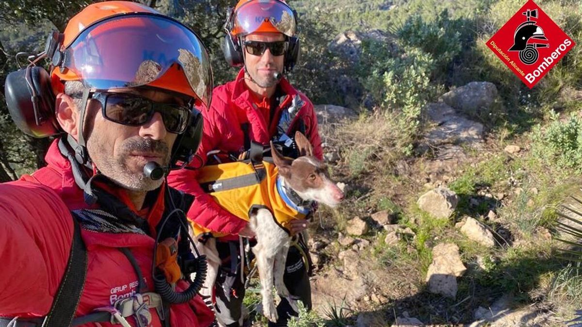 Los bomberos rescatan a un perro en helicóptero que quedó atrapado entre riscos en Tárbena Los bomberos rescatan a un perro en helicóptero que quedó atrapado entre riscos en Tárbena