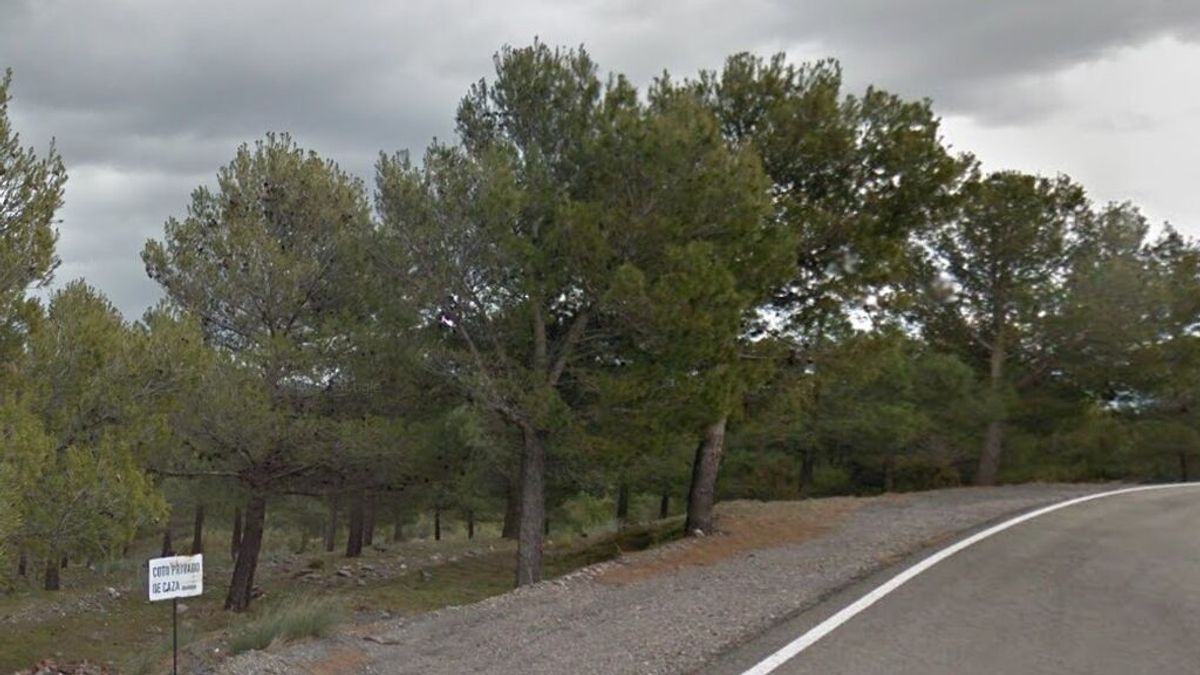 Indemnizan a un conductor accidentado por un ciervo en Almería porque no había señal Indemnizan a un conductor accidentado por un ciervo en Almería porque no había señal