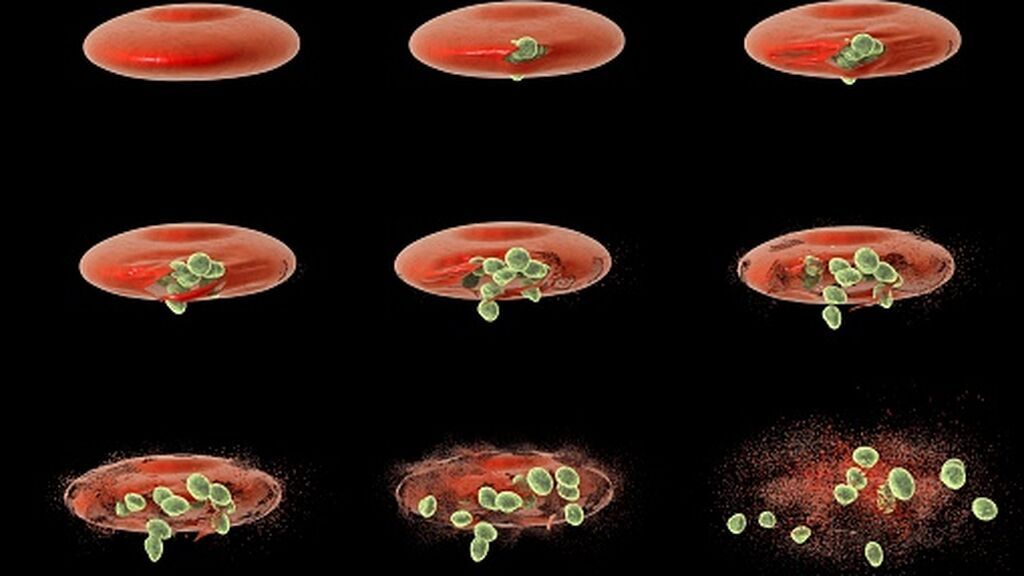 gettyimages-685027755-170667a