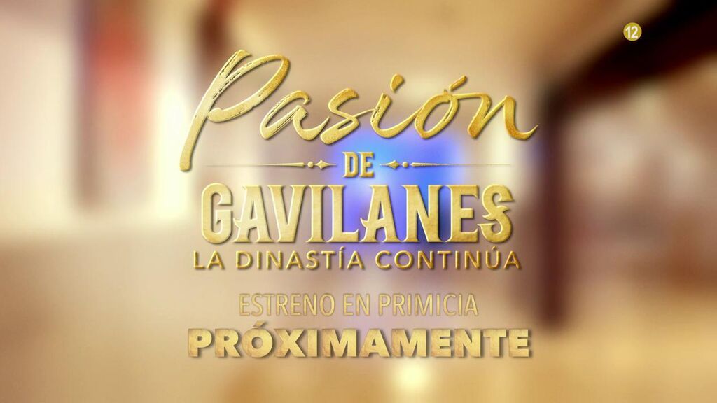 Pasión de gavilanes