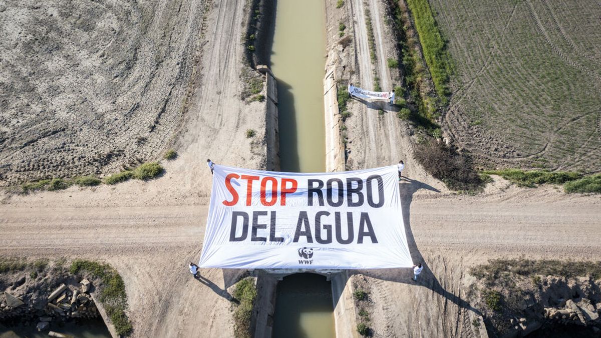 WWF despliega una pancarta gigante en Doñana para denunciar el robo del agua