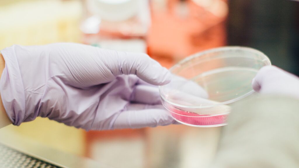 Día mundial contra el cáncer: los cuatro tipos de cáncer más comunes en hombres