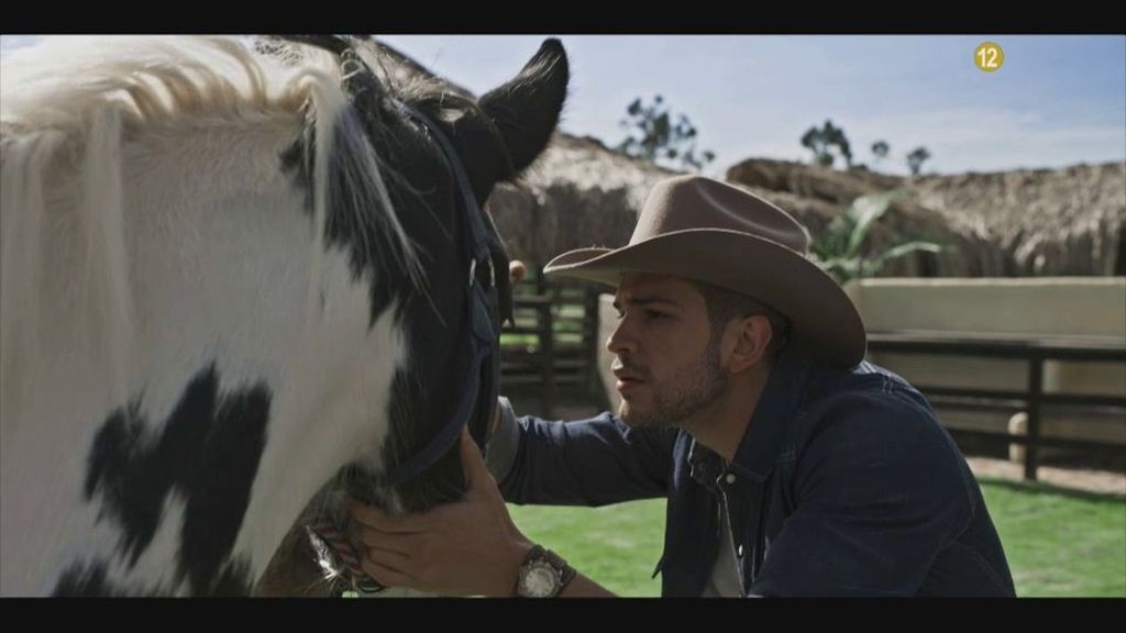 La nueva generación de gavilanes, en fotos: audaces, justicieros e irresistibles