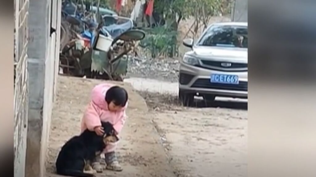Una niña tapa con sus manitas las orejas a su perro por los fuegos artificiales en China