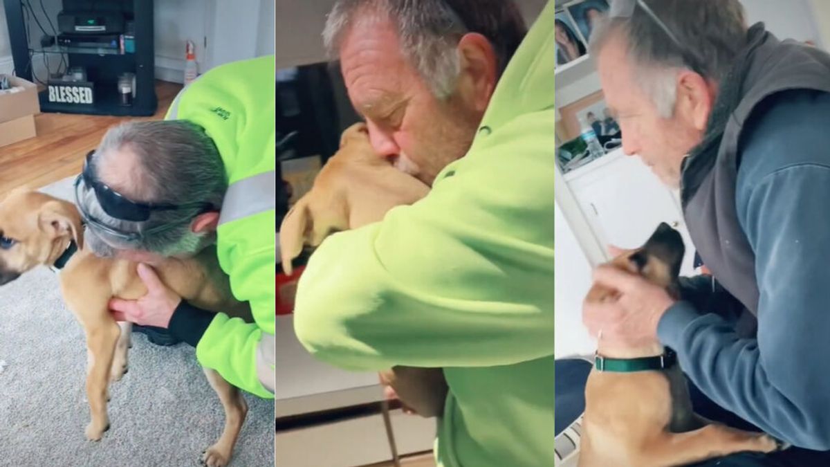 La bonita historia del padre que no quería perros en casa hasta que un cachorro le cambió la vida