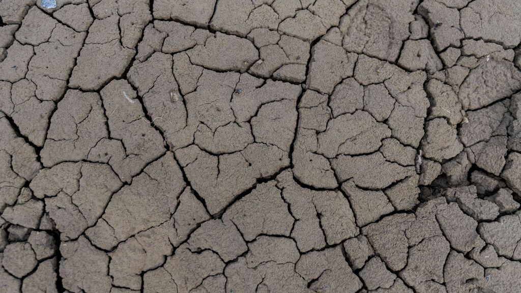 La sequía ahonda en la asfixia de los agricultores españoles: “Simplemente, no podemos aguantar más”