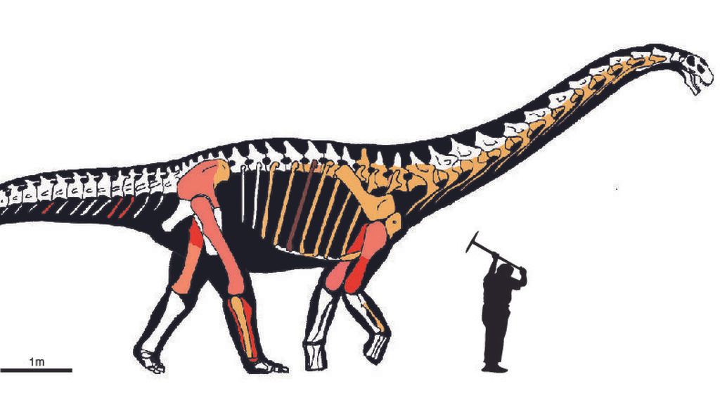 silueta_abditosaure (1)