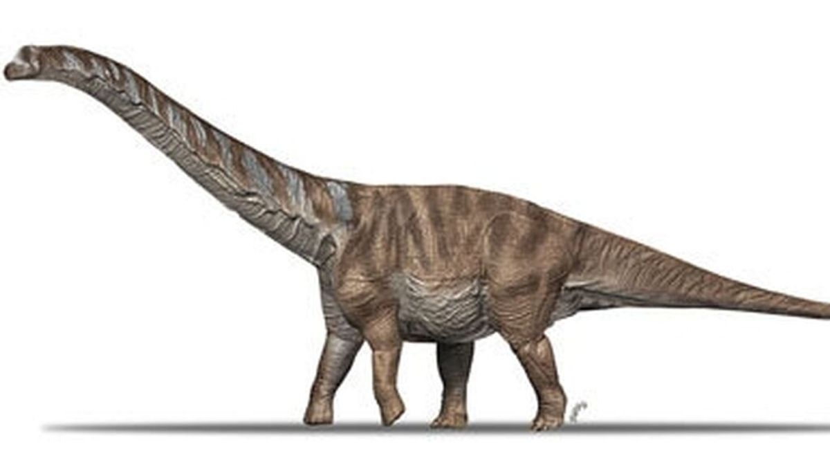 Descrita una nueva especie de dinosaurio que vivió en el Pirineo hace 70 millones de años
