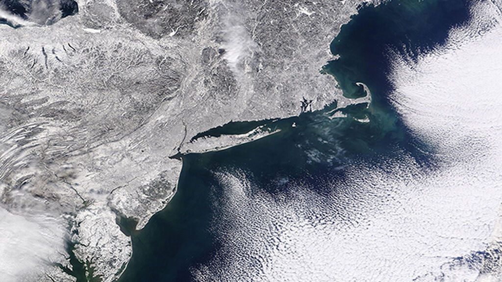 image02012022_main (1)