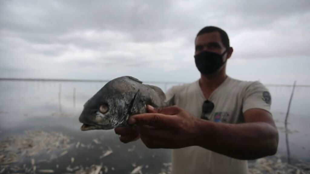 La sequía deja casi 20 toneladas de peces muertos en un lago seco de Brasil