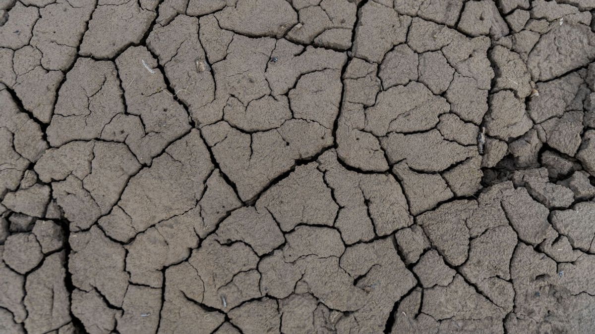 Las reservas de agua caen al 44%, un 26% por debajo de la media de la última década en España Las reservas de agua caen al 44%, un 26% por debajo de la media de la última década en España
