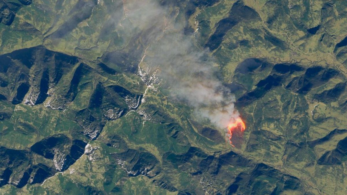 Un incendio arrasa 300 hectáreas en León, poniendo en riesgo la conservación del urogallo cantábrico