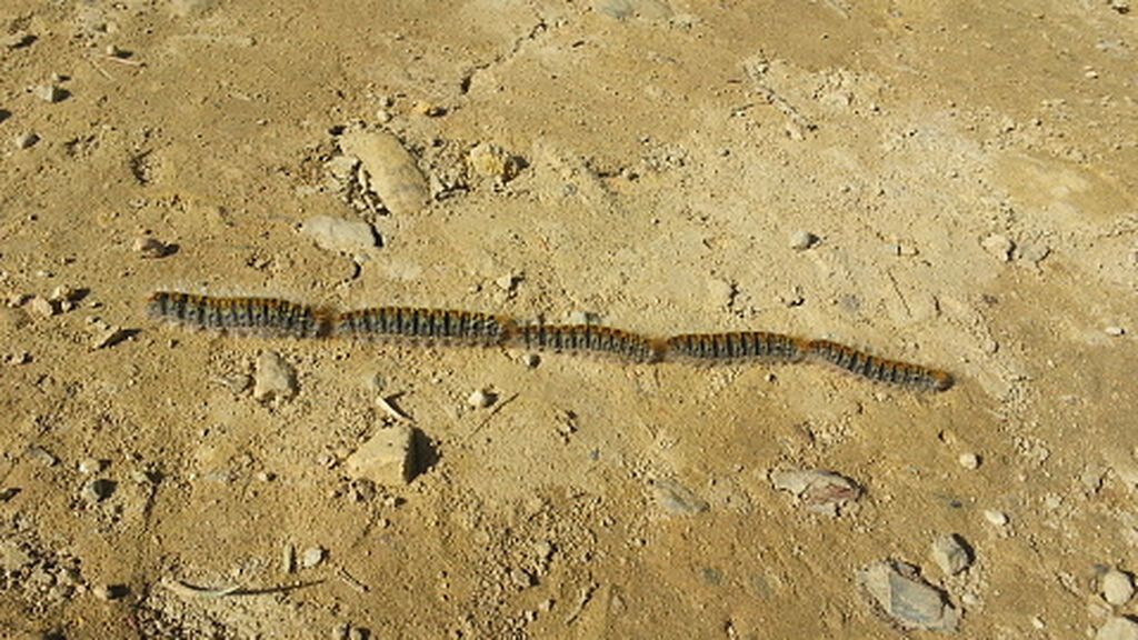 gettyimages-1147988550-170667a