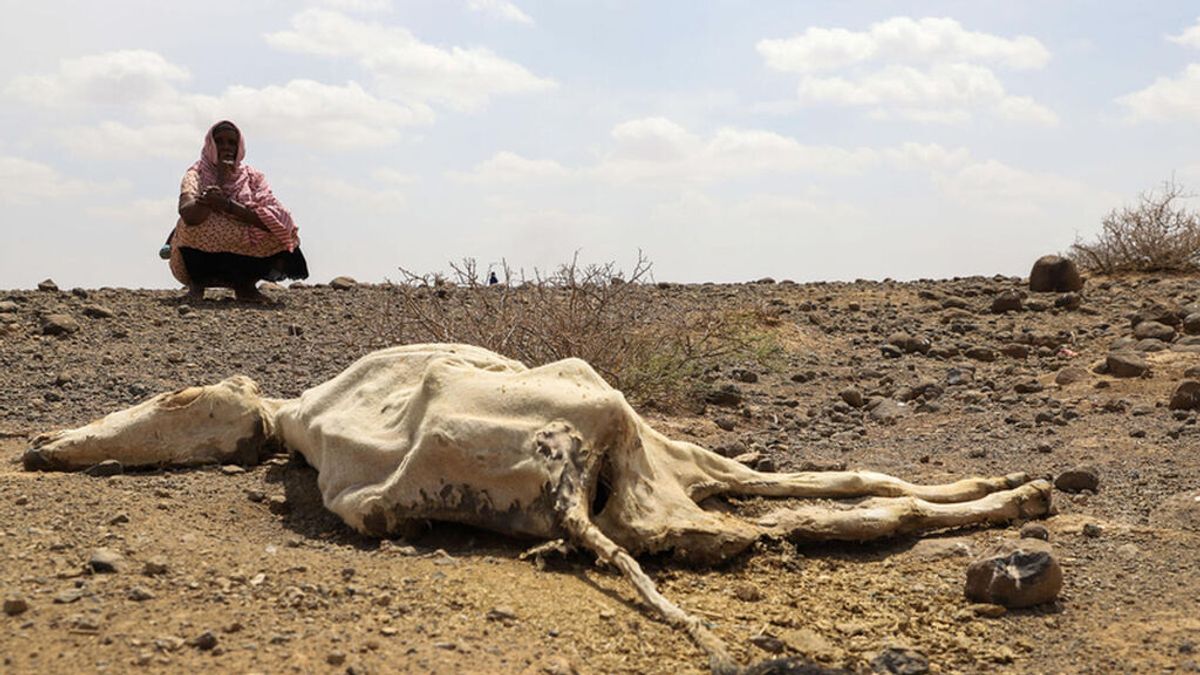 La esperanza se agota para el Cuerno de África: atraviesa la sequía más extrema desde 1981