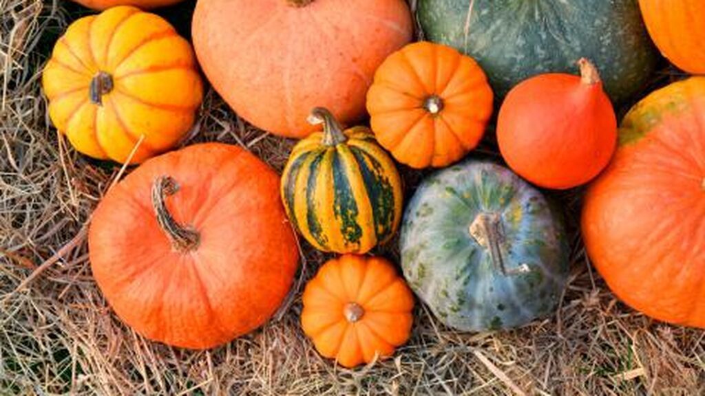 La calabaza servirá para luchar contra el paso de los años.